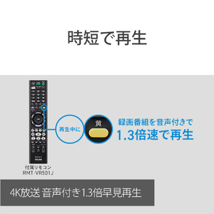 SONY 2TB HDD/4Kチューナー内蔵ブルーレイレコーダー BDZ-FBW2200-イメージ10