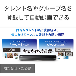 SONY 2TB HDD/4Kチューナー内蔵ブルーレイレコーダー BDZ-FBW2200-イメージ7