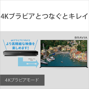 SONY 4TB HDD/4Kチューナー内蔵ブルーレイレコーダー BDZ-FBT4200-イメージ11