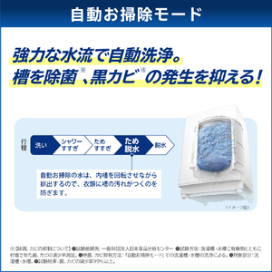 東芝 12．0kg全自動洗濯機 ZABOON グランホワイト AW-12DP3(W)-イメージ14