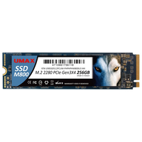 UMAX SSD(256GB) M800シリーズ UMSSDNV34M800256