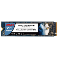 UMAX SSD(1TB) M800シリーズ UM-SSDNV34M800-1T