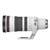 キヤノン 望遠ズームレンズ RF100-300mm F2.8 L IS USM RF100300LIS-イメージ2