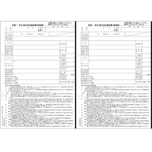 日本法令 給与支払報告書(総括表)50セット 23.09改 FC418NY-イメージ1