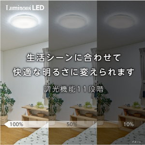 ドウシシャ ～8畳 LEDシーリングライト LuminousLED E50X08DS-イメージ3