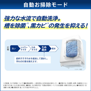 東芝 9．0kgインバーター全自動洗濯機 ZABOON グランホワイト AW-9DH4(W)-イメージ7