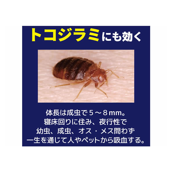 エディオンネットショップ 金鳥 F 水性プロ用ゴキブリ駆除剤 4ml