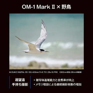 OMデジタルソリューションズ デジタル一眼カメラ・12-45mm F4．0 PROキット OMSYSTEM OM-1 Mark II ブラック OM-1M2_1245-イメージ15