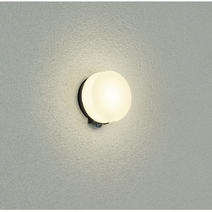 ダイコウデンキ LED玄関灯 DXL-81339C-イメージ1