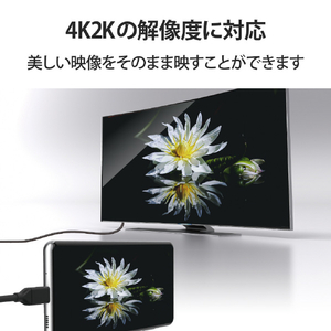 エレコム USB Type-C(TM)用HDMI映像変換ケーブル(3．0m) ブラック MPA-CHDMI30BK-イメージ6