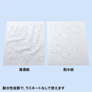 サンワサプライ カラーレーザー用耐水紙・中厚(A3) LBP-WPF15MDPN-A3-イメージ2