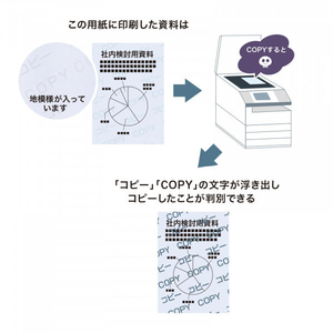 サンワサプライ マルチタイプコピー偽造防止用紙(B5) JP-MTCBB5N-イメージ3