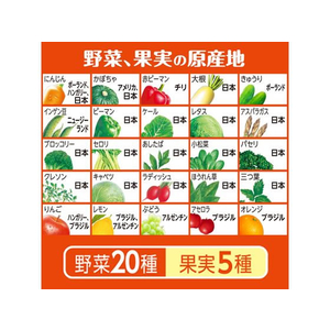 伊藤園 充実野菜 緑黄色野菜ミックス 740g×15本 FCB9517-イメージ3
