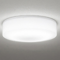 オーデリック LED屋外照明 OG254873R