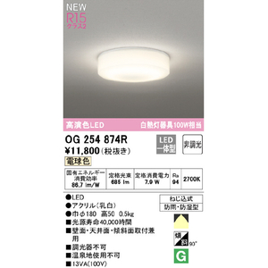 オーデリック LED屋外照明 OG254874R-イメージ2