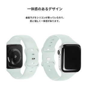 EGARDEN Apple Watch 49/45/44/42mm用SILICONE BAND ブラック EGD21777AWBK-イメージ11
