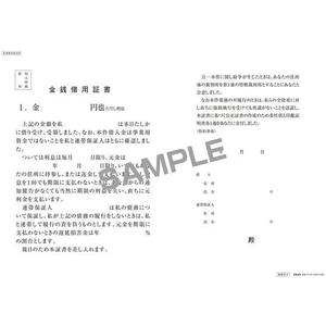日本法令 金銭借用証書(B4/ヨコ書/ノーカーボン) FCK0946-イメージ2