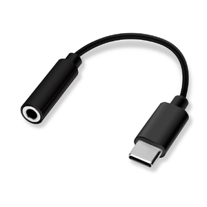 PGA 3．5mmイヤフォン変換アダプタ for USB Type-C Premium Style ブラック PG-35CCN01BK-イメージ1