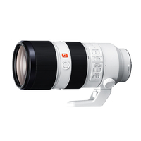 SONY デジタル一眼カメラα[Eマウント]用 大口径望遠ズームレンズ FE 70-200mm F2.8 GM OSS SEL70200GM