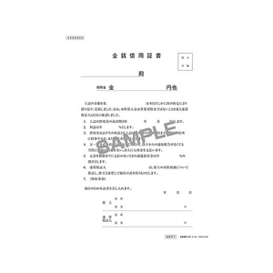 日本法令 金銭借用証書 B5 ノーカーボン 3複 3組 F373954-イメージ2