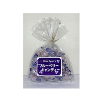 神谷製菓 ブルーベリーキャンディー 180g FCT7353