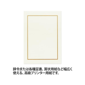 オキナ OA対応辞令・賞状用紙 A4 10枚 F121611-SZA4-イメージ2