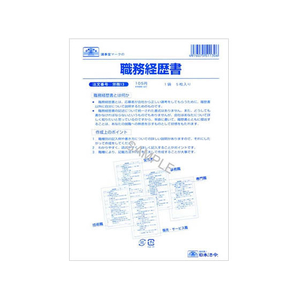 日本法令 職務経歴書(説明書つき)B5B5 5枚 F870128-イメージ2