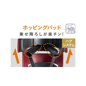 OGK技研 リアチャイルドシート グランディア プラス グランレッド 1004489RBC017DXPLUSｸﾞﾗﾝRD-イメージ3