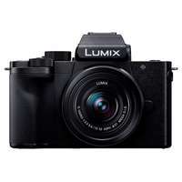 パナソニック デジタル一眼カメラ/標準ズームレンズキット LUMIX ブラック DC-G100DK-K