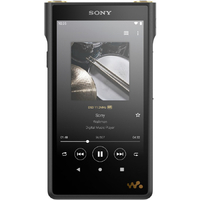 SONY デジタルオーディオプレーヤー(128GB) Walkman NWWM1AM2
