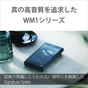 SONY デジタルオーディオプレーヤー(128GB) Walkman NW-WM1AM2-イメージ3