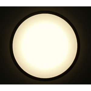 アイリスオーヤマ 12畳用 LEDシーリングライト CL12DL-5.1MXWFM-イメージ3