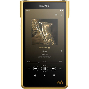SONY デジタルオーディオプレイヤー(256GB) Walkman NW-WM1ZM2-イメージ1
