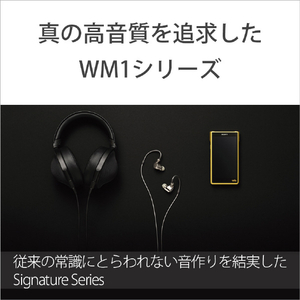 SONY デジタルオーディオプレイヤー(256GB) Walkman NW-WM1ZM2-イメージ3