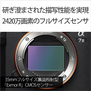 SONY デジタル一眼カメラ・ボディ ILCE-7M3-イメージ4