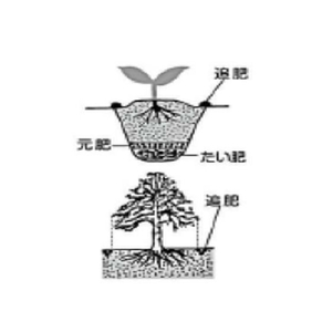 トムソンコーポレーション 化成肥料 8-8-8 3kg FCC9463-イメージ2