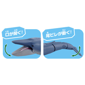 タカラトミー アニア AL-23 シロナガスクジラ(水に浮くVer．) ｱﾆｱAL23ｼﾛﾅｶﾞｽｸｼﾞﾗﾐｽﾞﾆｳｸ-イメージ3