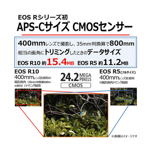 キヤノン デジタル一眼カメラ・RF-S18-150 IS STM レンズキット EOS R10 EOSR1018150ISSTMLK-イメージ3