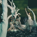 ソニーミュージック 櫻坂46 / 五月雨よ [通常盤] 【CD】 SRCL-12138
